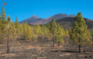 Blick zum Teide