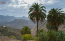 Im Gebirge von Grand Canaria