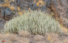 Im Gebirge von Grand Canaria