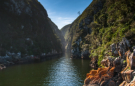 Tsitsikamma National Park