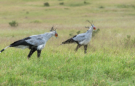 Scotia Safaris Game Farm