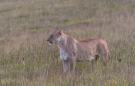 Scotia Safaris Game Farm