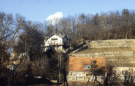 Weinberg in Pillnitz